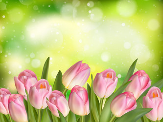 Similar image 11450054