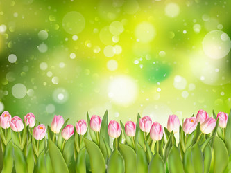 Similar image 11450056