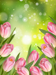 Similar image 11450058