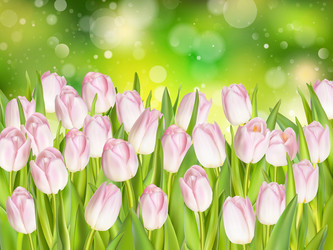 Similar image 11450059