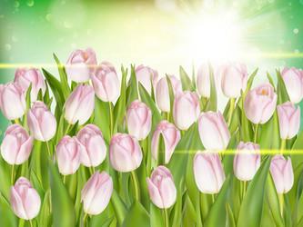 Similar image 11450060