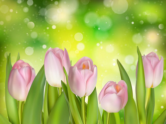 Similar image 11450076