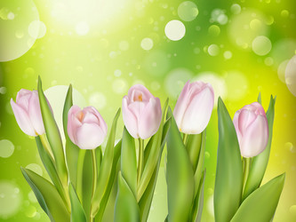 Similar image 11450077