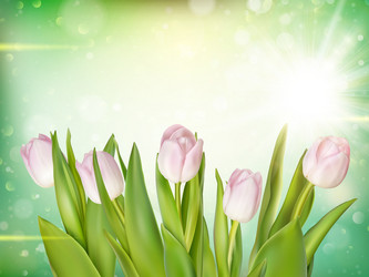 Similar image 11450079