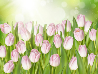 Similar image 11450082