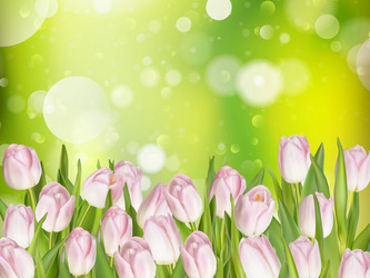 Similar image 11450083