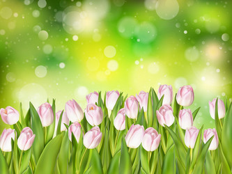 Similar image 11450084