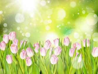 Similar image 11450120