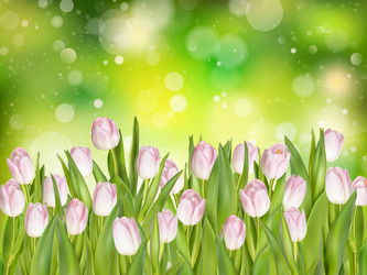 Similar image 11450121