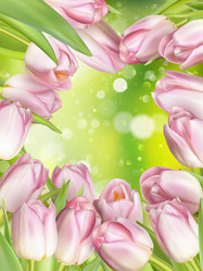 Similar image 11450123