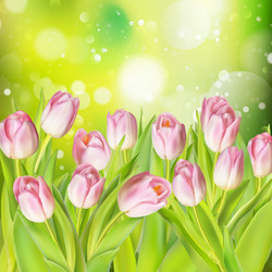 Similar image 11450124