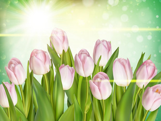 Similar image 11450194