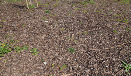 Similar image 11422729