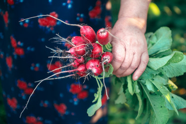 Similar image 11443063