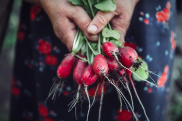 Similar image 11443064