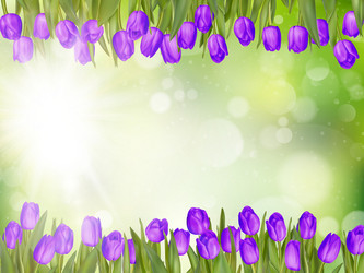 Similar image 11449864