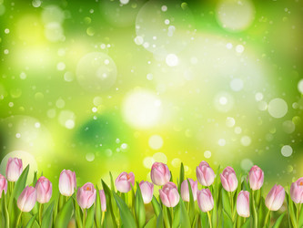 Similar image 11449882