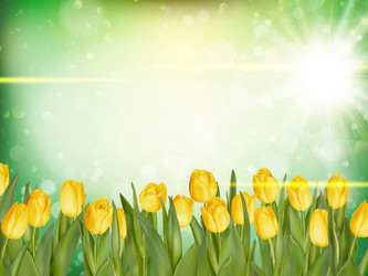 Similar image 11449891