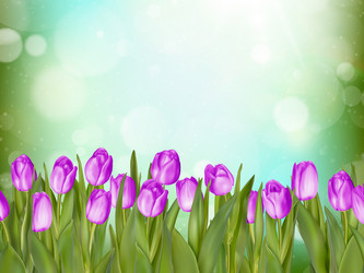 Similar image 11449892