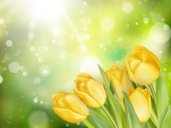 Similar image 11449893