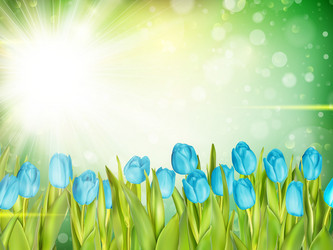 Similar image 11449895