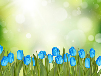 Similar image 11449896