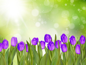 Similar image 11449897