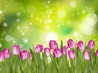 Similar image 11449898