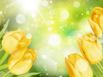 Similar image 11449899