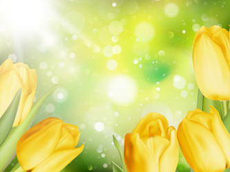 Similar image 11449900