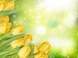 Similar image 11449901