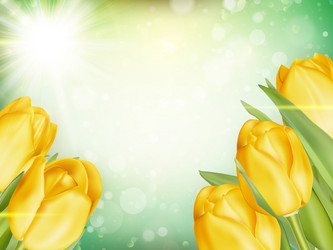 Similar image 11449902