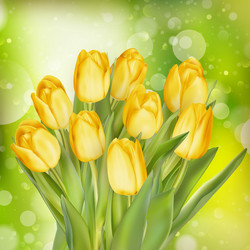 Similar image 11449903