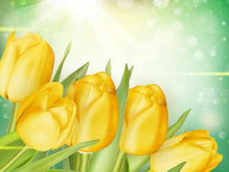 Similar image 11449917