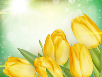 Similar image 11449918