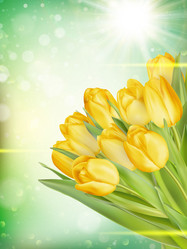 Similar image 11449919