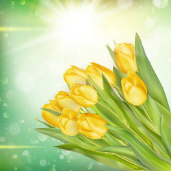 Similar image 11449920