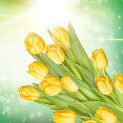 Similar image 11449921