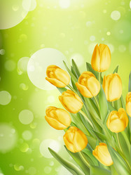 Similar image 11449924