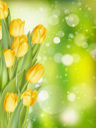 Similar image 11449944