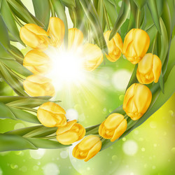 Similar image 11449962