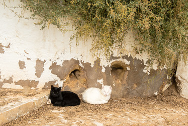 Similar image 11418537