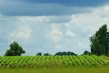 Similar image 11427053