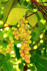 Similar image 11427075