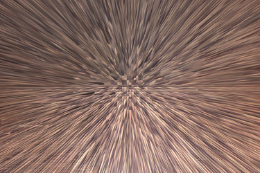 Similar image 11427004