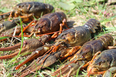 Similar image 11427007