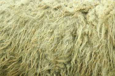 Similar image 11427013