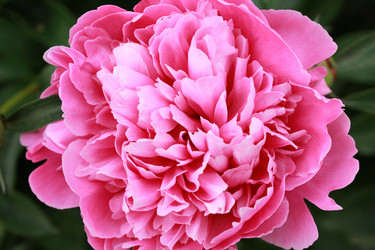 Similar image 11418172