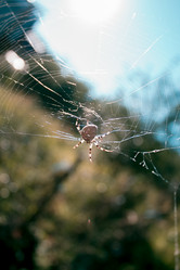 Similar image 11418173