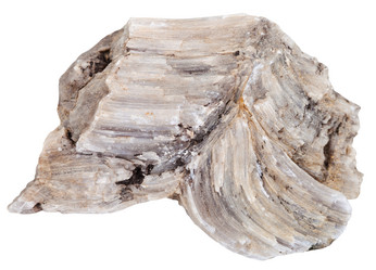 Similar image 11431203